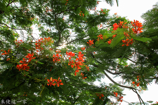 IMG_0121.jpg IMG_0121.jpg