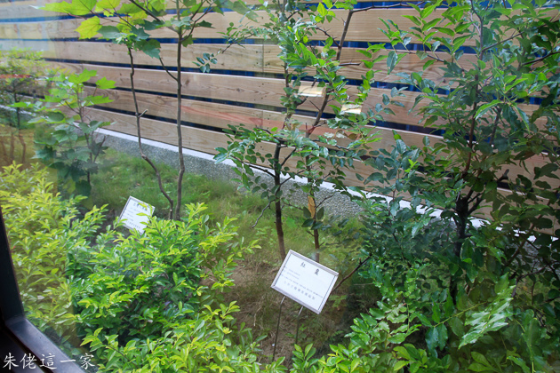 IMG_0329.jpg IMG_0329.jpg