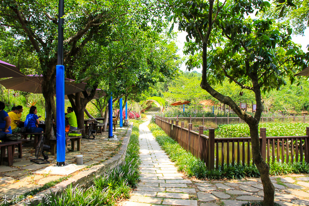 IMG_0016.jpg IMG_0016.jpg