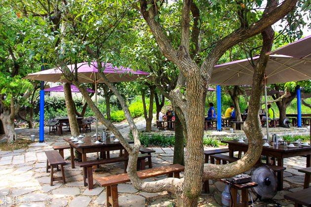 IMG_0015.jpg IMG_0015.jpg