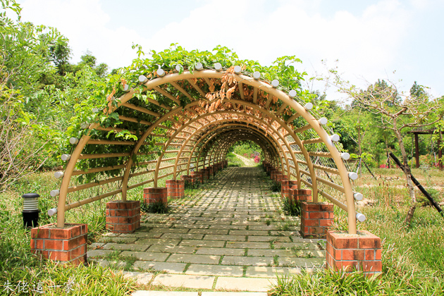 IMG_0020.jpg IMG_0020.jpg