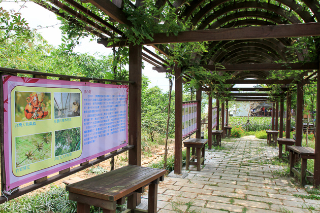 IMG_0022.jpg IMG_0022.jpg