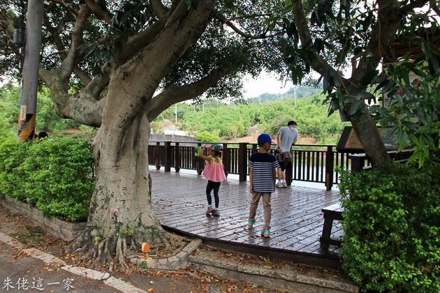 IMG_0062.jpg IMG_0062.jpg