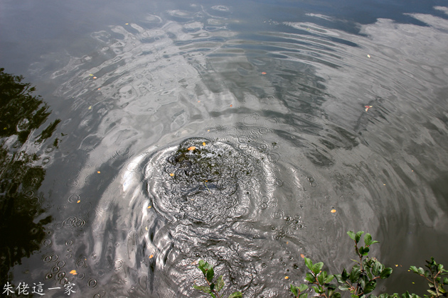 IMG_0084.jpg IMG_0084.jpg