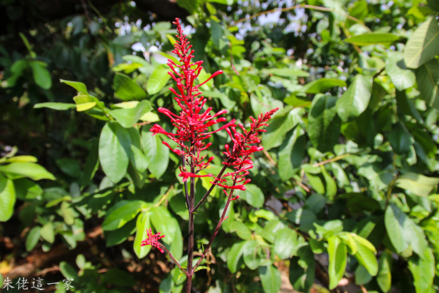 IMG_0097.jpg IMG_0097.jpg