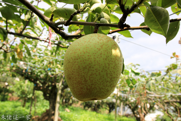 IMG_0098.jpg IMG_0098.jpg