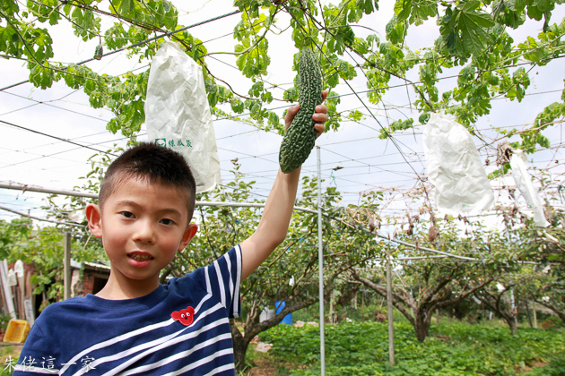 IMG_0114.jpg IMG_0114.jpg