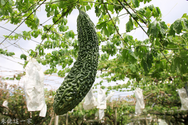 IMG_0111.jpg IMG_0111.jpg