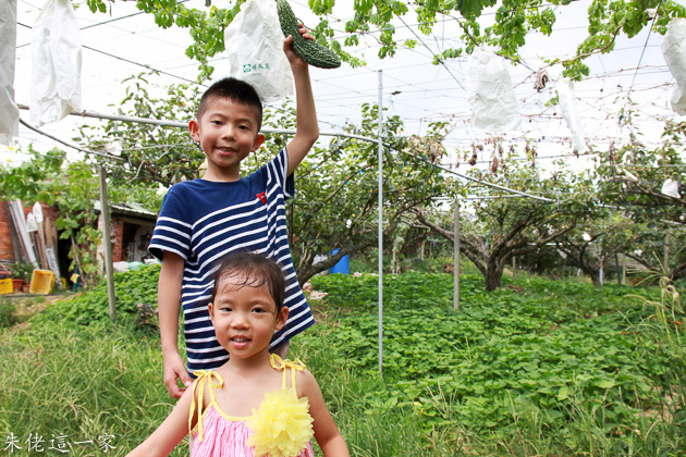 IMG_0117.jpg IMG_0117.jpg