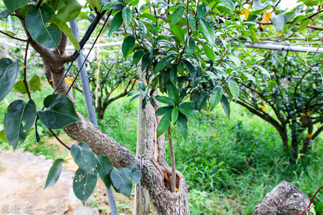 IMG_0118.jpg IMG_0118.jpg