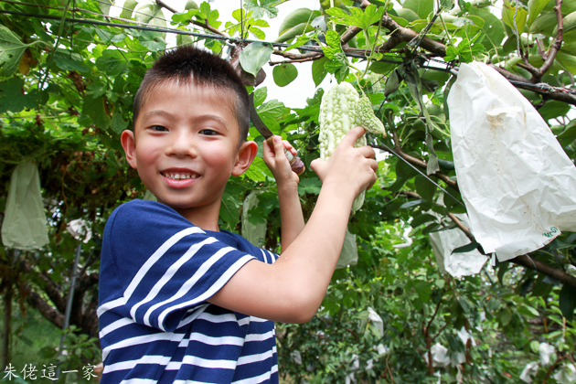 IMG_0126.jpg IMG_0126.jpg