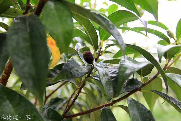 IMG_0120.jpg IMG_0120.jpg