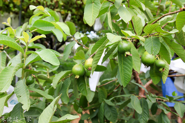 IMG_0127.jpg IMG_0127.jpg