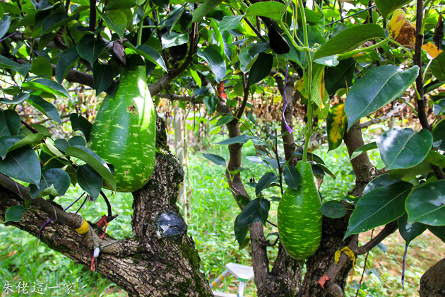 IMG_0143.jpg IMG_0143.jpg