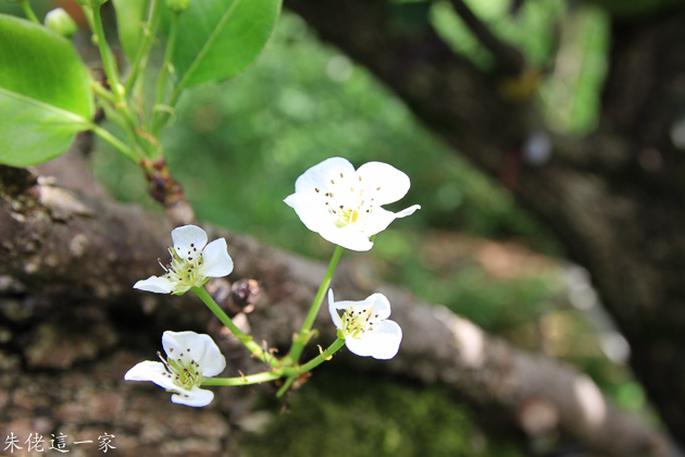 IMG_0145.jpg IMG_0145.jpg