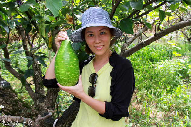 IMG_0153.jpg IMG_0153.jpg