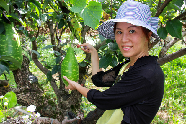 IMG_0149.jpg IMG_0149.jpg