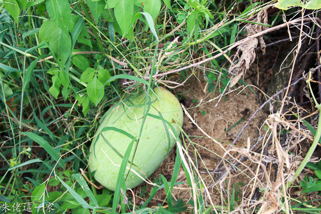 IMG_0157.jpg IMG_0157.jpg