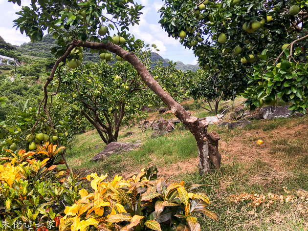 IMG_5117.jpg IMG_5117.jpg