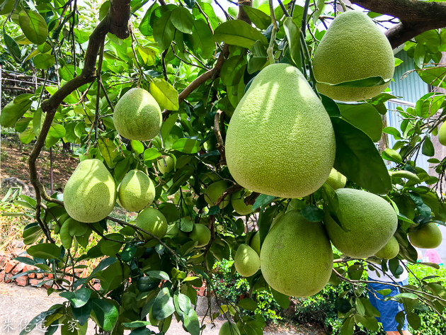 IMG_5144.jpg IMG_5144.jpg