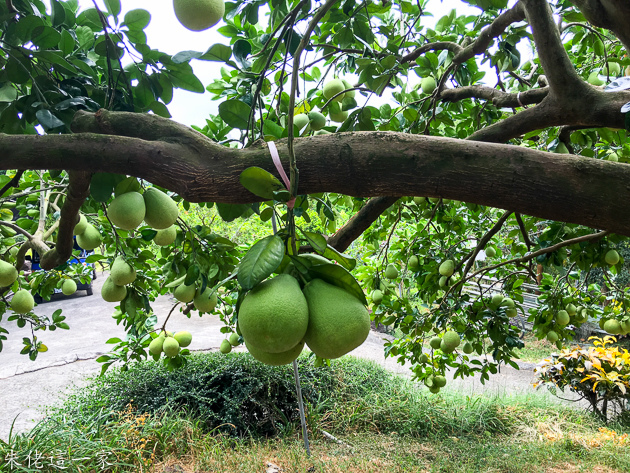 IMG_5154.jpg IMG_5154.jpg