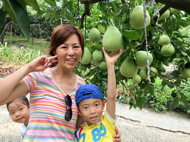 IMG_5149.jpg IMG_5149.jpg