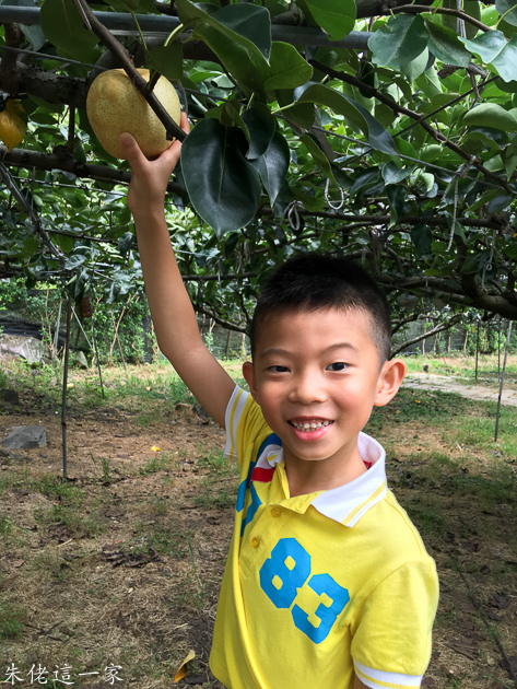 IMG_5169.jpg IMG_5169.jpg