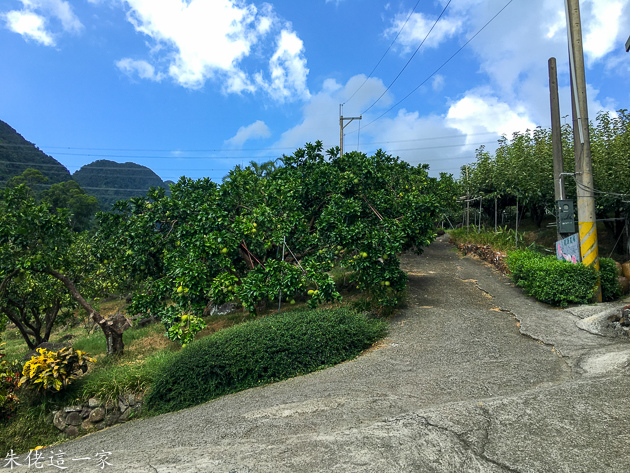 IMG_5214.jpg IMG_5214.jpg