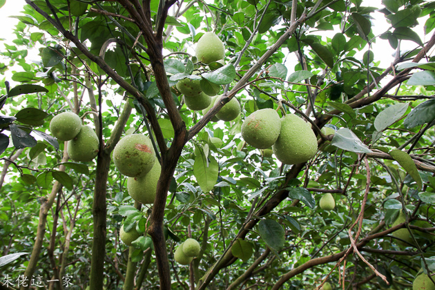 IMG_0025.jpg IMG_0025.jpg