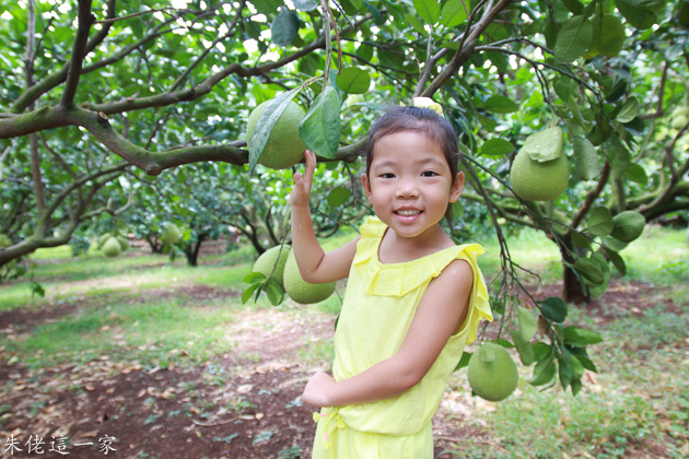 IMG_0026.jpg IMG_0026.jpg