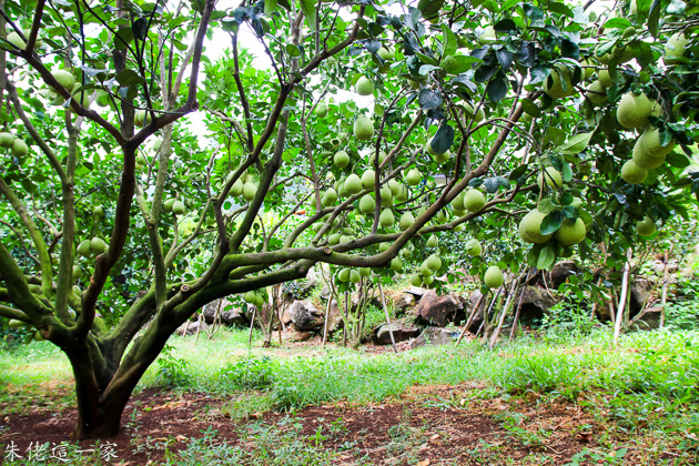 IMG_0028.jpg IMG_0028.jpg