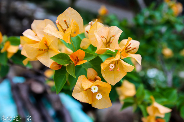 IMG_0043.jpg IMG_0043.jpg