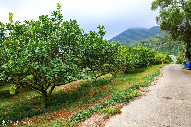 IMG_0057.jpg IMG_0057.jpg