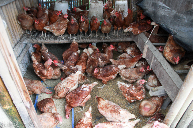 IMG_0553.jpg IMG_0553.jpg