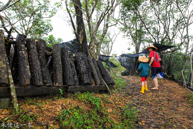 IMG_0590.jpg IMG_0590.jpg