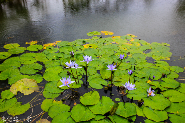 IMG_0612.jpg IMG_0612.jpg