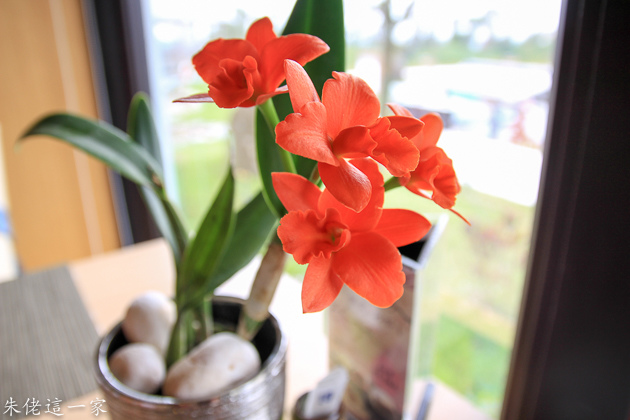 IMG_0146.jpg IMG_0146.jpg