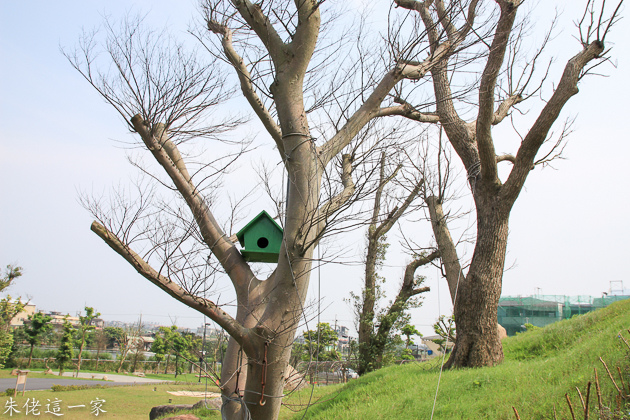 IMG_0170.jpg IMG_0170.jpg