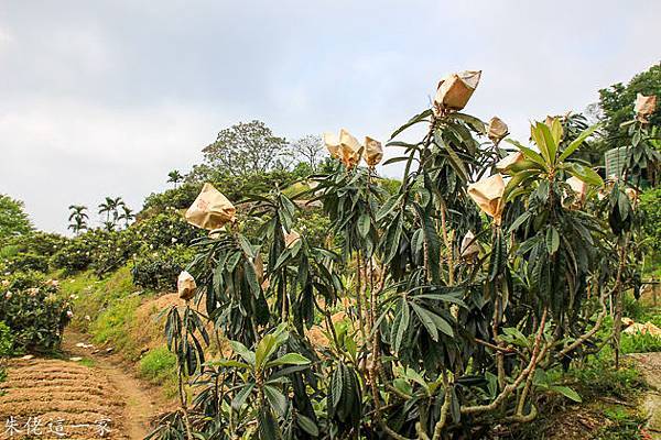 IMG_0002.jpg IMG_0002.jpg