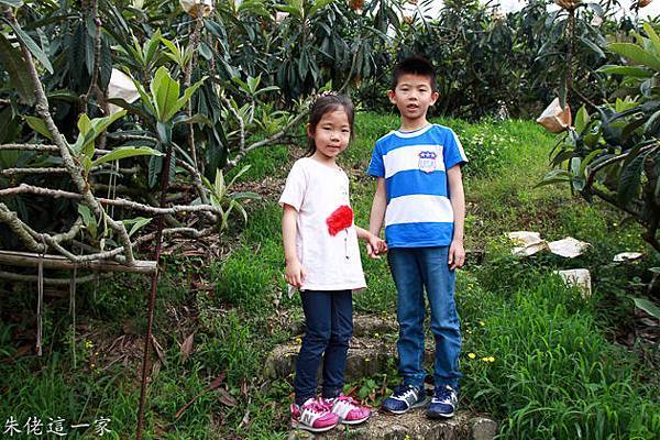 IMG_0003.jpg IMG_0003.jpg