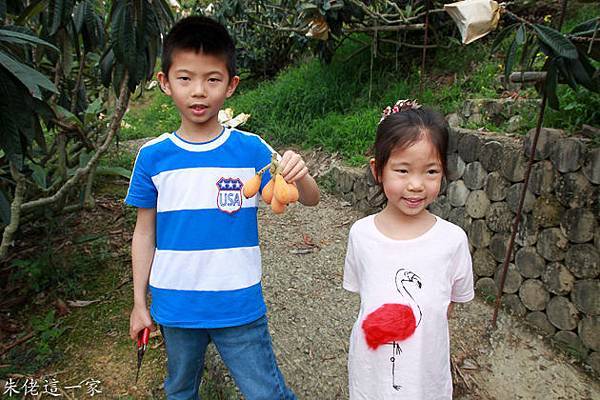 IMG_0010.jpg IMG_0010.jpg