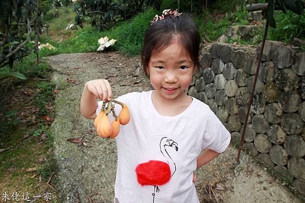 IMG_0012.jpg IMG_0012.jpg