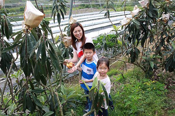 IMG_0016.jpg IMG_0016.jpg