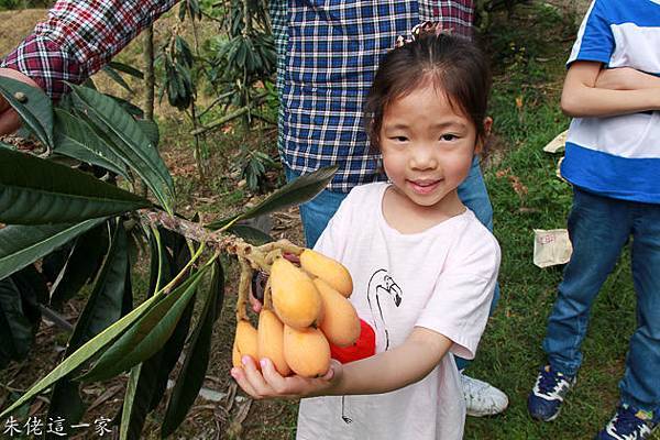 IMG_0032.jpg IMG_0032.jpg