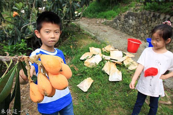 IMG_0022.jpg IMG_0022.jpg