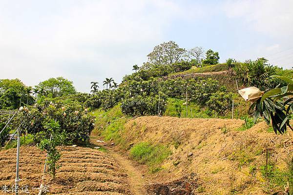 IMG_0038.jpg IMG_0038.jpg