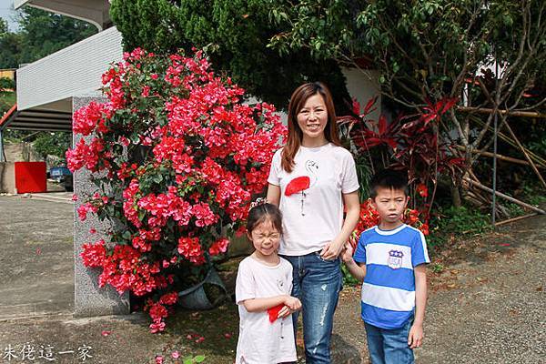 IMG_0042.jpg IMG_0042.jpg