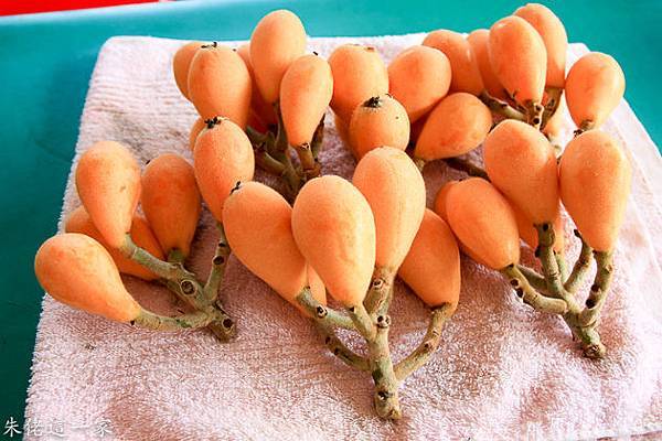 IMG_0055.jpg IMG_0055.jpg