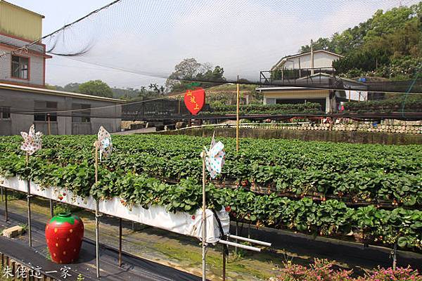 IMG_0056.jpg IMG_0056.jpg