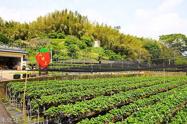 IMG_0070.jpg IMG_0070.jpg